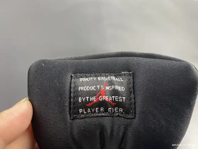 Rep 11 JORDAN INSTINCT AIR ANIMAL AR0715-010 0528